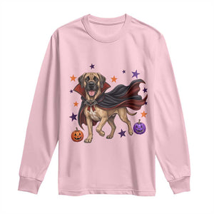 Cute Halloween Great Dane Dog Pumpkin Ghost and Witch T-Shirt Long Sleeve Shirt