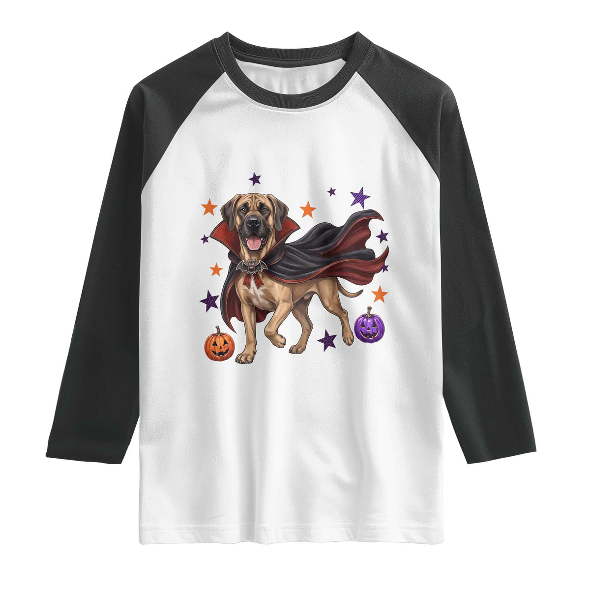 Cute Halloween Great Dane Dog Pumpkin Ghost and Witch T-Shirt Raglan Shirt