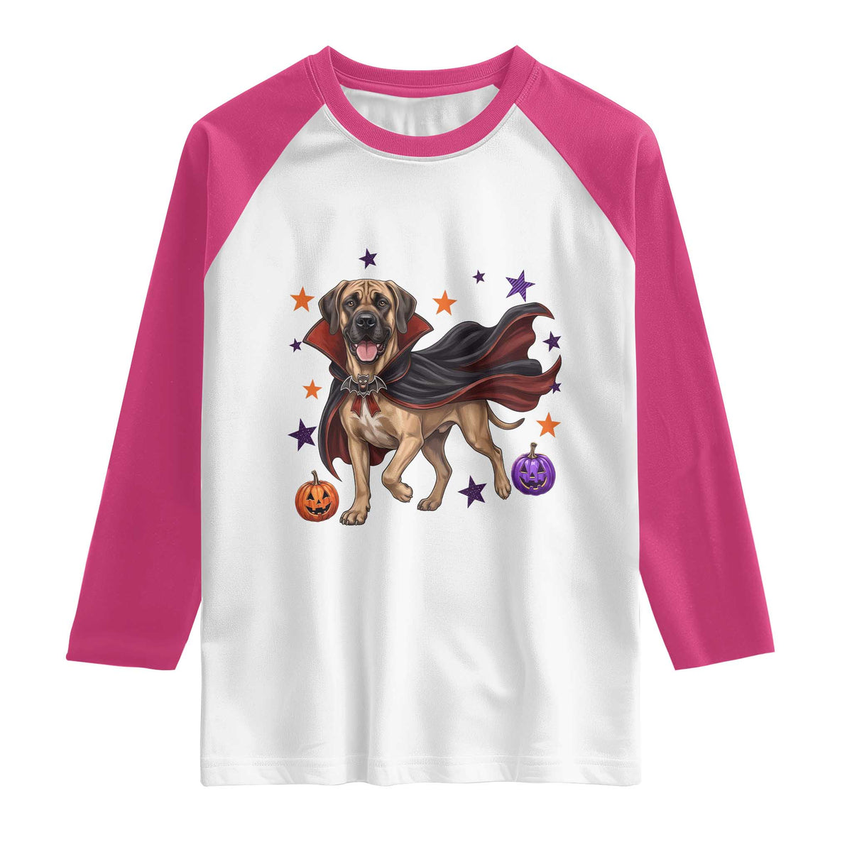 Cute Halloween Great Dane Dog Pumpkin Ghost and Witch T-Shirt Raglan Shirt