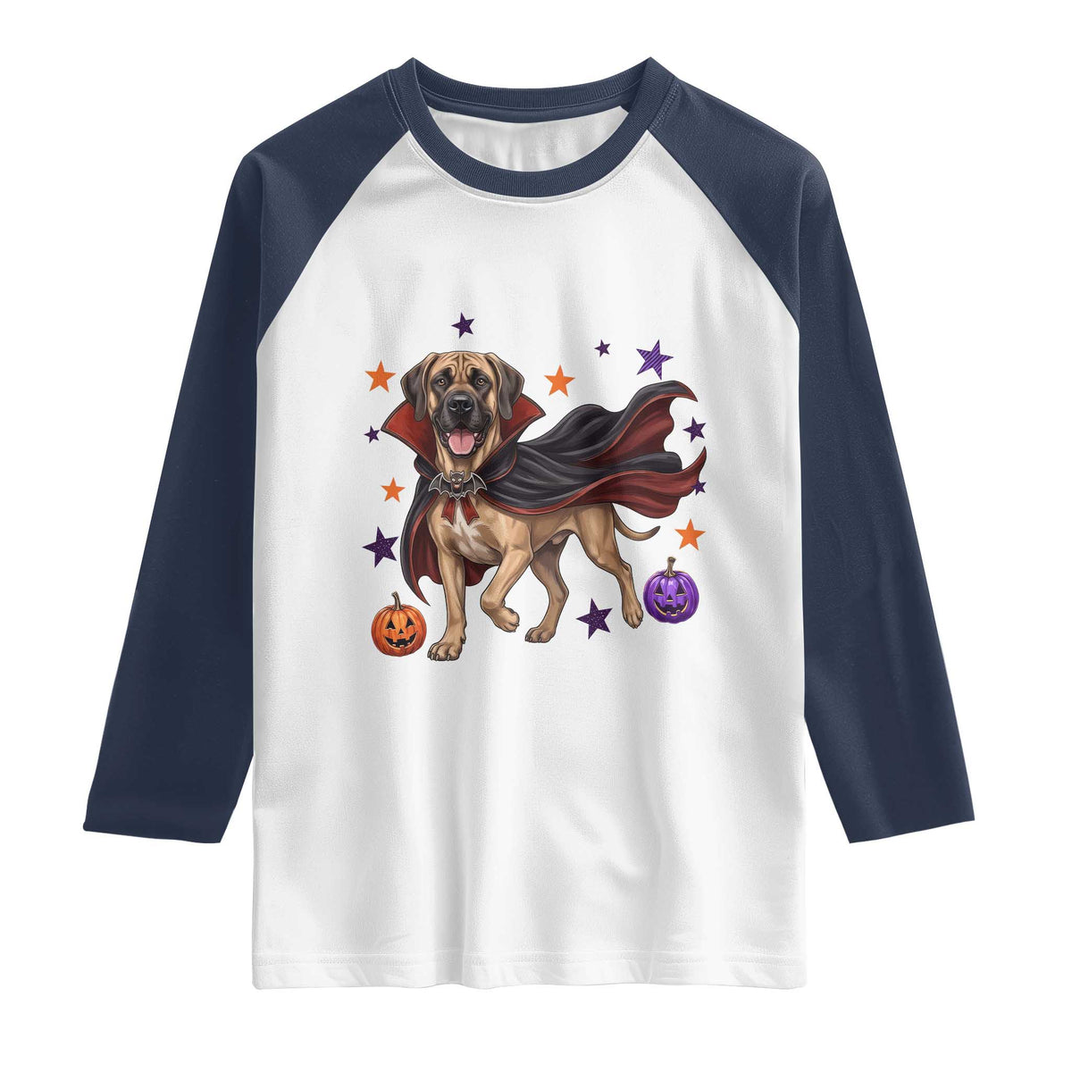 Cute Halloween Great Dane Dog Pumpkin Ghost and Witch T-Shirt Raglan Shirt
