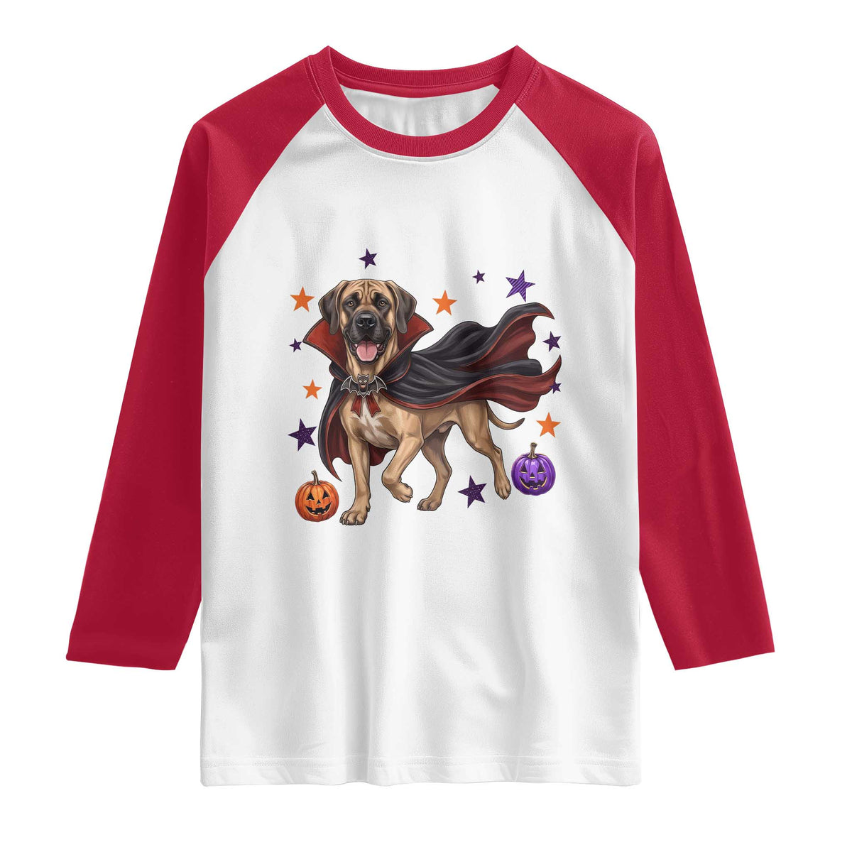 Cute Halloween Great Dane Dog Pumpkin Ghost and Witch T-Shirt Raglan Shirt