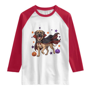 Cute Halloween Great Dane Dog Pumpkin Ghost and Witch T-Shirt Raglan Shirt