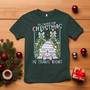 Funny Santa Cat Trans Pride T Shirt All I Want For Christmas Is Trans Rights TS12 Dark Forest Green Print Your Wear