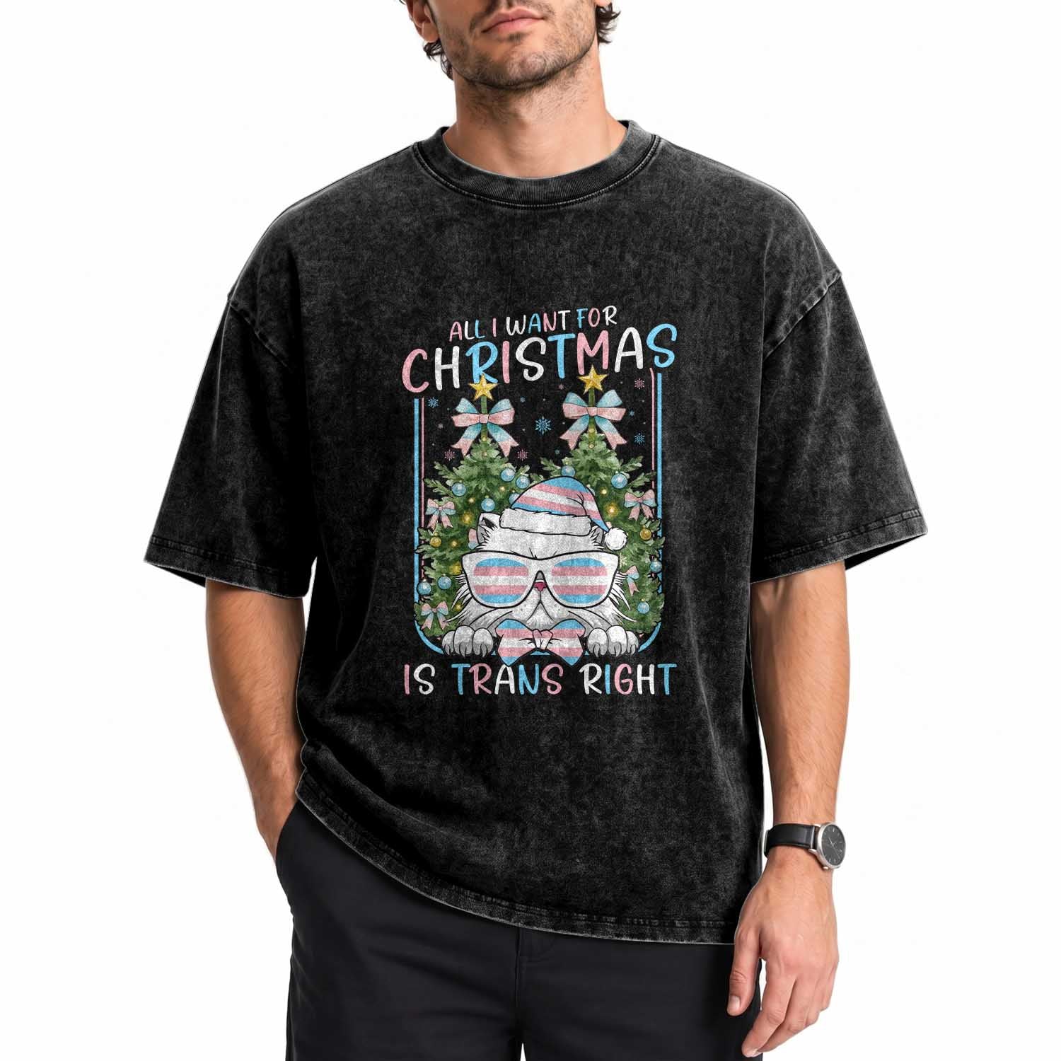 Funny Santa Cat Trans Pride Washed Cotton T-Shirt All I Want For Christmas Is Trans Rights