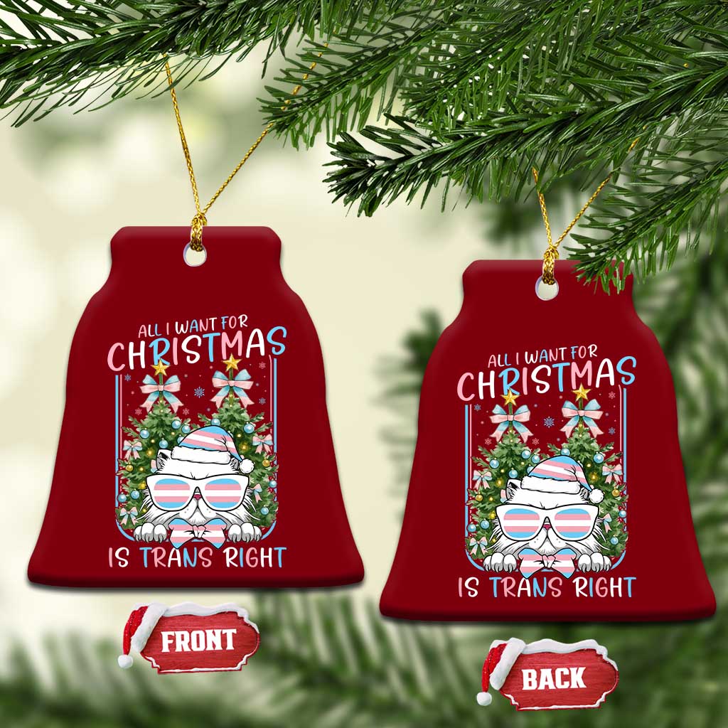 Funny Santa Cat Trans Pride Ceramic Ornament All I Want For Christmas Is Trans Rights TS12 Print Your Wear
