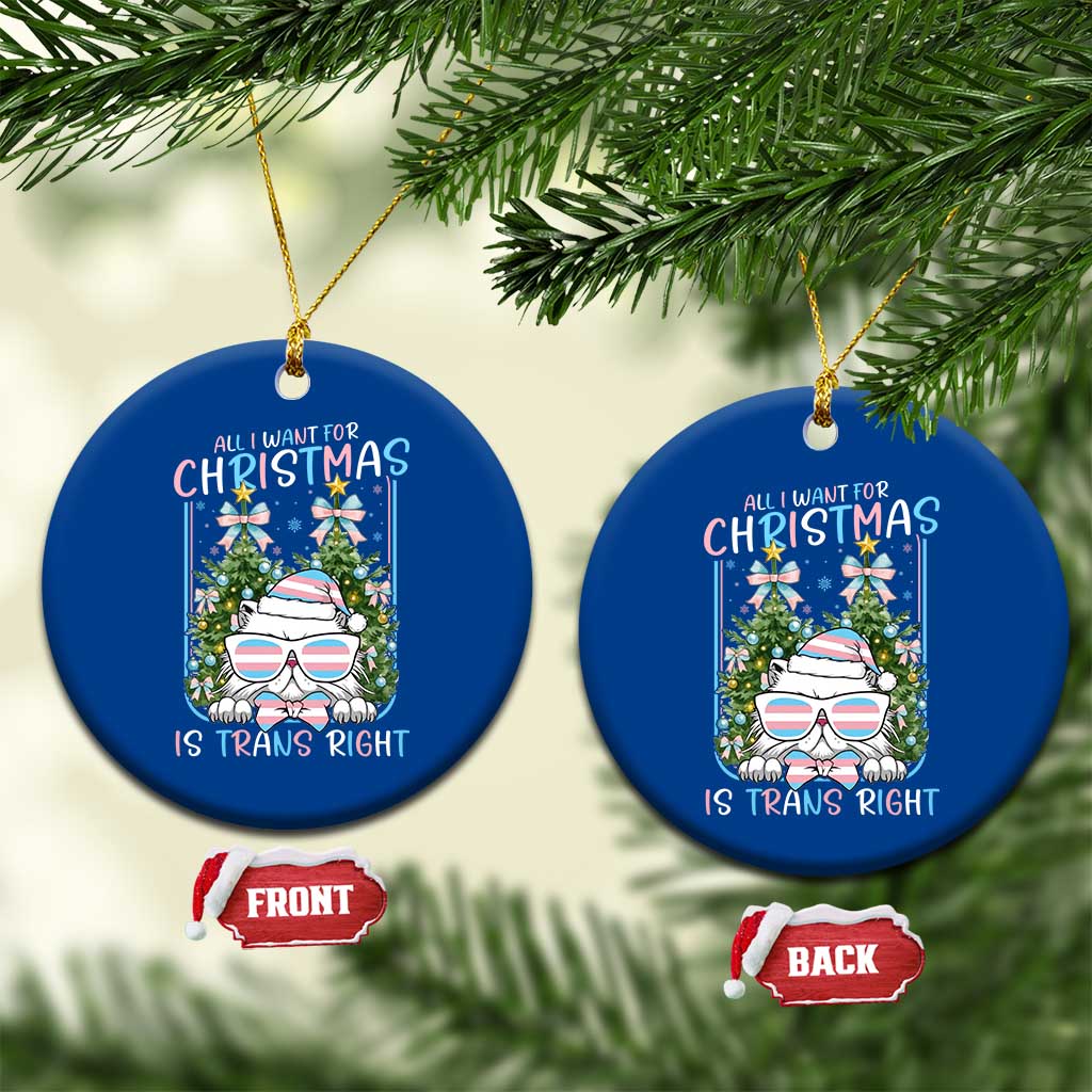 Funny Santa Cat Trans Pride Ceramic Ornament All I Want For Christmas Is Trans Rights TS12 1pc Blue Print Your Wear
