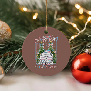 Funny Santa Cat Trans Pride Ceramic Ornament All I Want For Christmas Is Trans Rights TS12 1pc Mocha Print Your Wear
