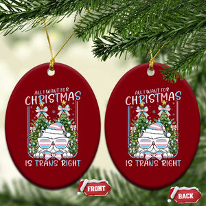 Funny Santa Cat Trans Pride Ceramic Ornament All I Want For Christmas Is Trans Rights TS12 Print Your Wear