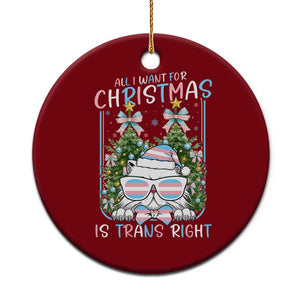 Funny Santa Cat Trans Pride Ceramic Ornament All I Want For Christmas Is Trans Rights TS12 1pc Red Print Your Wear