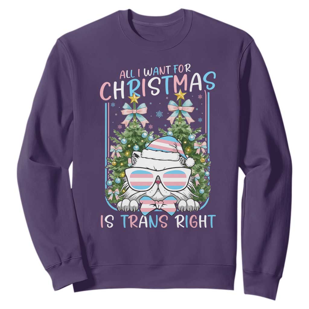 Funny Santa Cat Trans Pride Sweatshirt All I Want For Christmas Is Trans Rights TS12 Purple Print Your Wear
