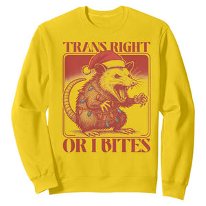 Funny Fierce Opossum Santa Sweatshirt Trans Right Or I Bites Christmas Gift TS12 Daisy Print Your Wear