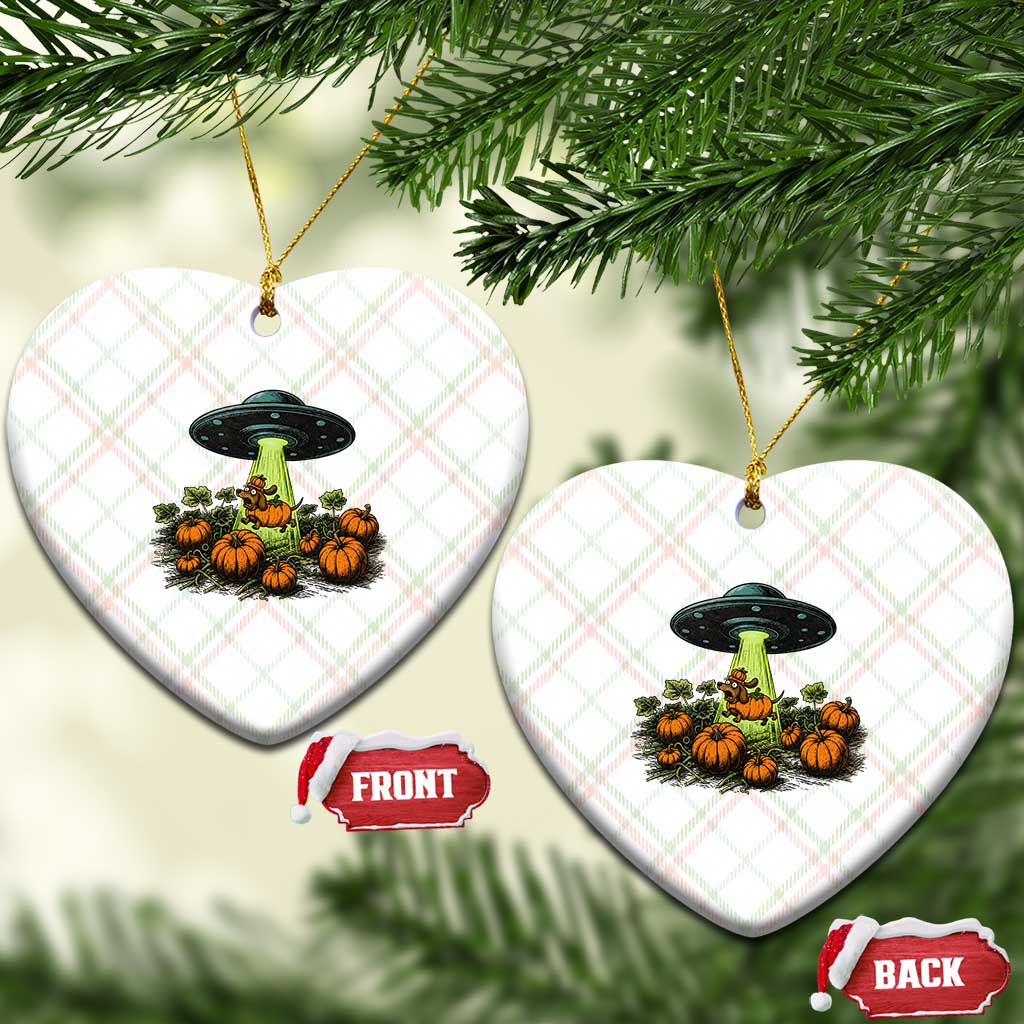 Funny Alien Halloween Pet Lover Gift Ceramic Ornament UFO Abduction Pumpkin Dachshund Dog