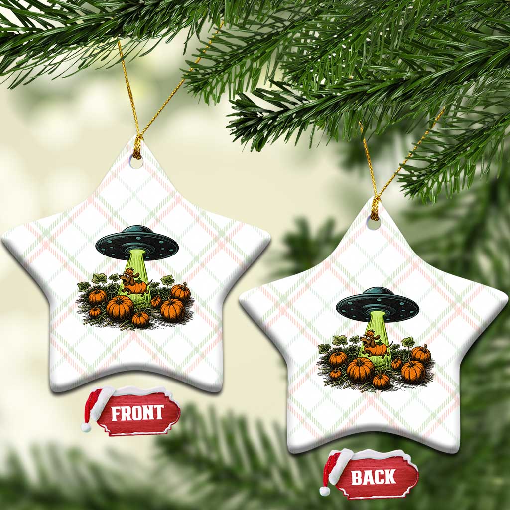 Funny Alien Halloween Pet Lover Gift Ceramic Ornament UFO Abduction Pumpkin Dachshund Dog