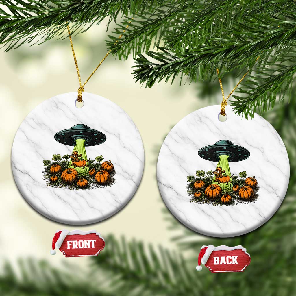 Funny Alien Halloween Pet Lover Gift Ceramic Ornament UFO Abduction Pumpkin Dachshund Dog