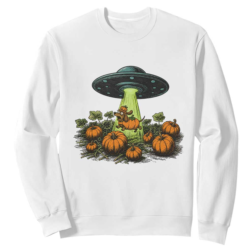 Funny Alien Halloween Pet Lover Gift Sweatshirt UFO Abduction Pumpkin Dachshund Dog