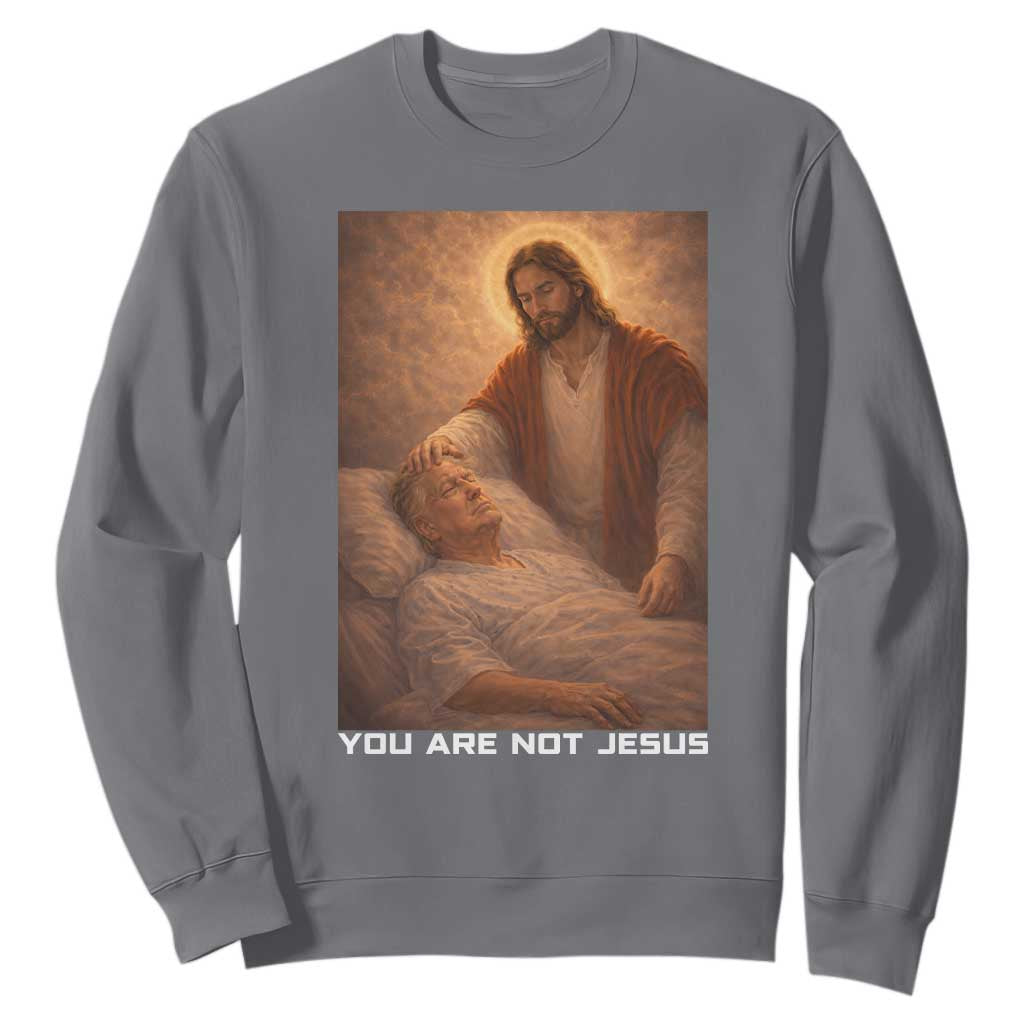Funny Sarcastic Political Satire Sweatshirt You Are Not Jesus TS12 Charcoal Print Your Wear