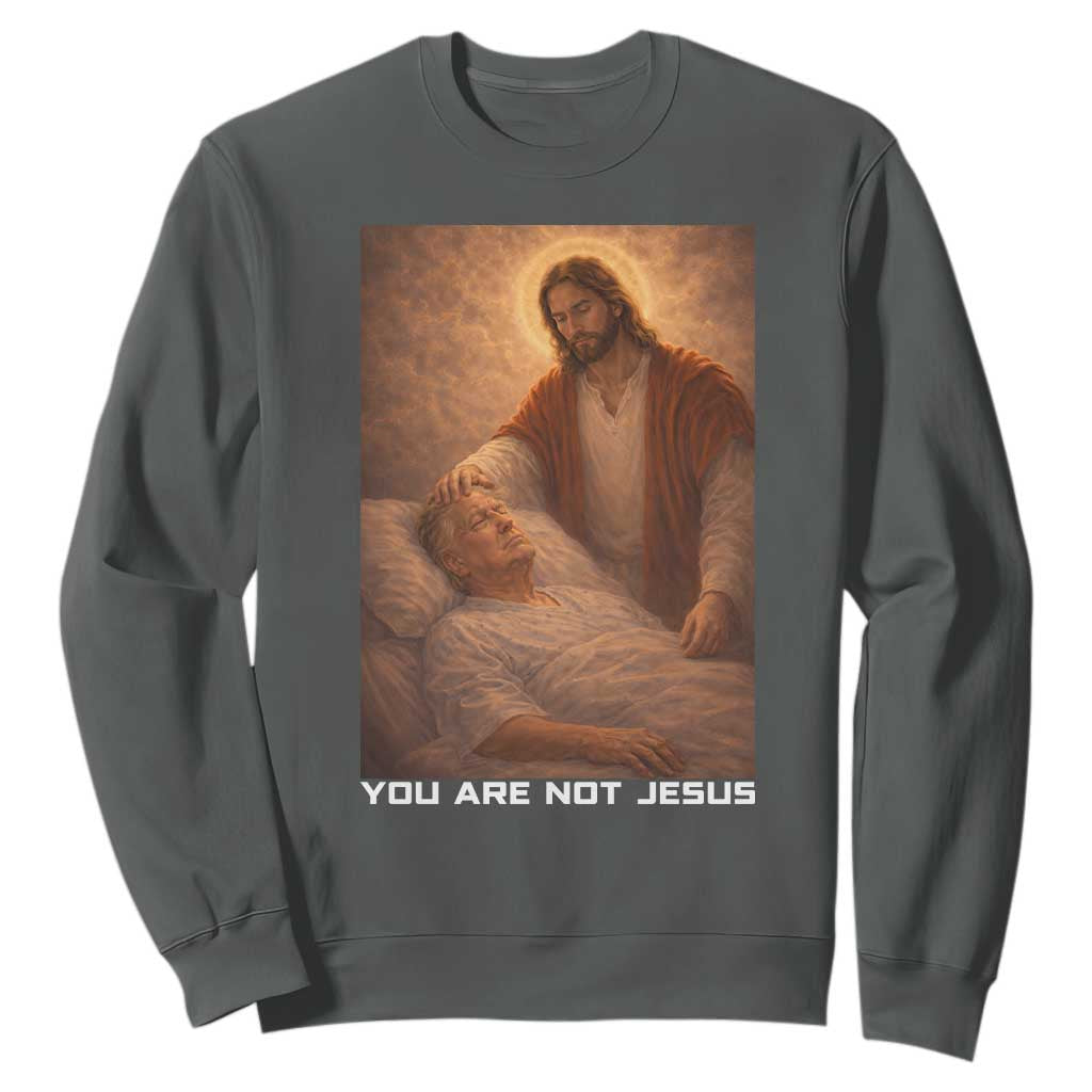 Funny Sarcastic Political Satire Sweatshirt You Are Not Jesus TS12 Dark Heather Print Your Wear