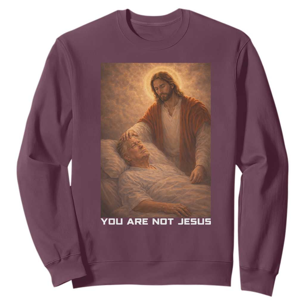 Funny Sarcastic Political Satire Sweatshirt You Are Not Jesus TS12 Maroon Print Your Wear