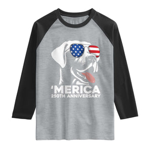 Merica Labrador Retriever Lover Raglan Shirt 250th Anniversary Gift TS12 Heather Gray Black Print Your Wear