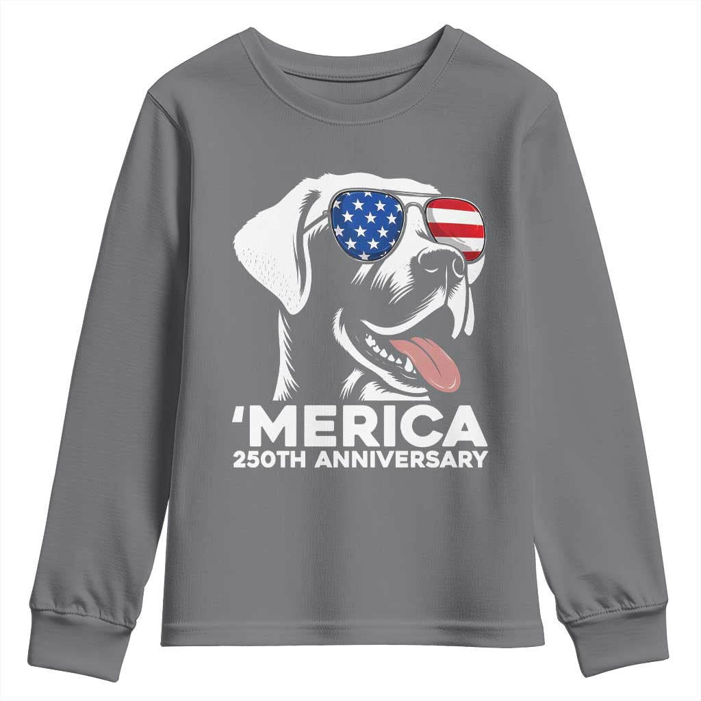 Merica Labrador Retriever Lover Youth Sweatshirt 250th Anniversary Gift TS12 Charcoal Print Your Wear