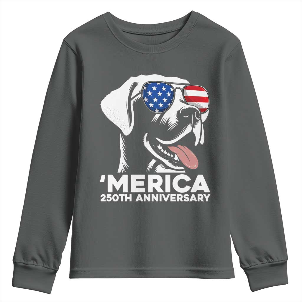 Merica Labrador Retriever Lover Youth Sweatshirt 250th Anniversary Gift TS12 Dark Heather Print Your Wear