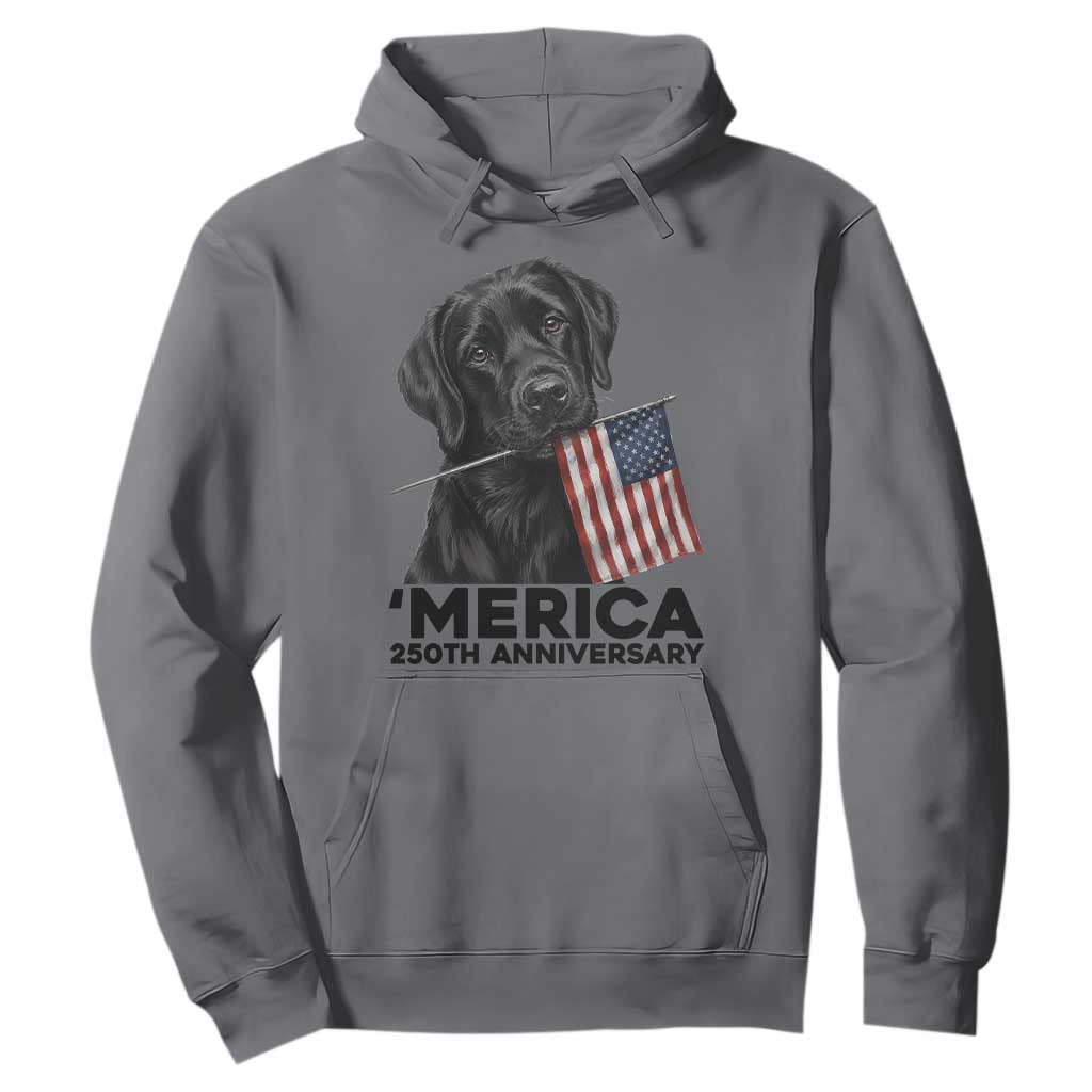Patriotic Labrador Retriever Hoodie USA 250th Anniversary Gift TS12 Charcoal Print Your Wear