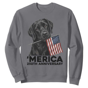 Patriotic Labrador Retriever Sweatshirt USA 250th Anniversary Gift TS12 Charcoal Print Your Wear
