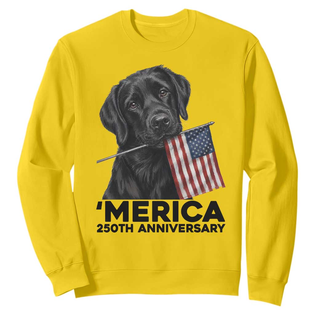 Patriotic Labrador Retriever Sweatshirt USA 250th Anniversary Gift TS12 Daisy Print Your Wear