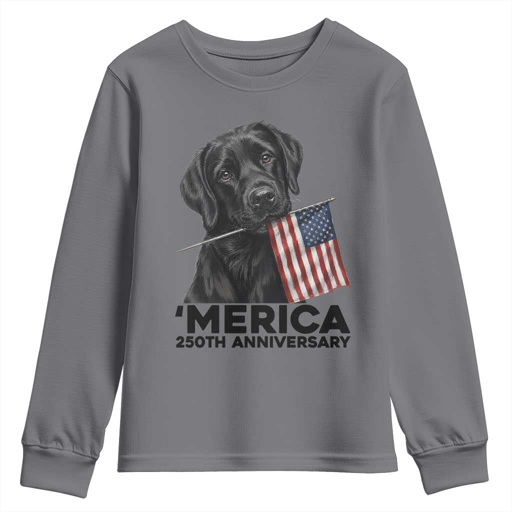 Patriotic Labrador Retriever Youth Sweatshirt USA 250th Anniversary Gift TS12 Charcoal Print Your Wear