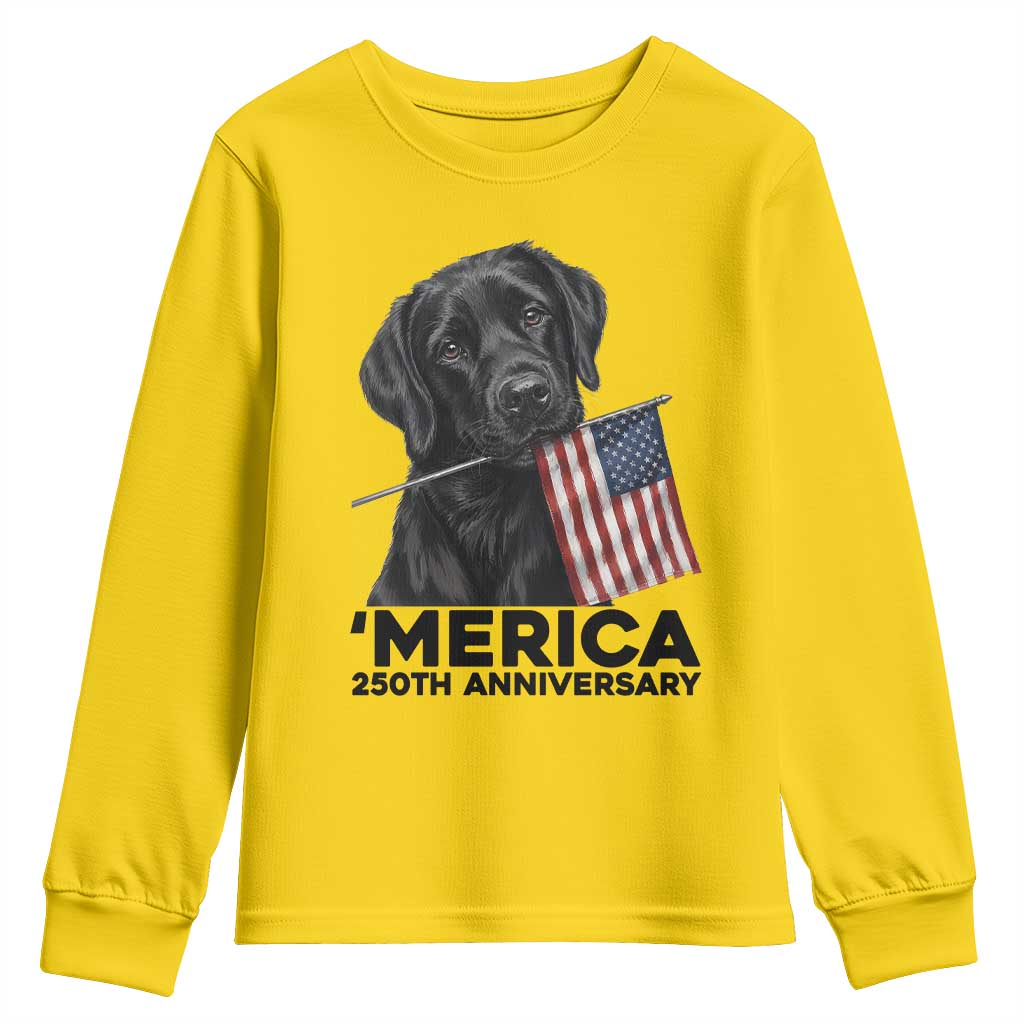 Patriotic Labrador Retriever Youth Sweatshirt USA 250th Anniversary Gift TS12 Daisy Print Your Wear
