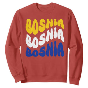 Groovy Retro Bosnia Sweatshirt Proud Bosnian Balkan Heritage Gift TS12 Red Print Your Wear