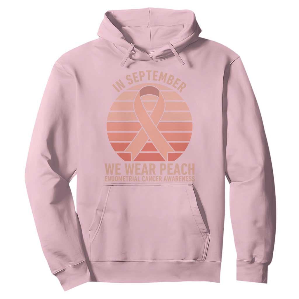 In September We Wear Peach Hoodie Endometrial Cancer Awareness Support TS12 Light Pink Print Your Wear