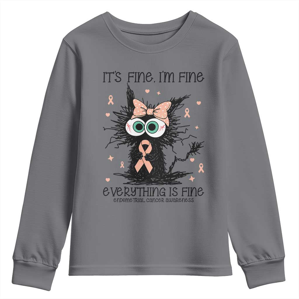 Funny Black Cat Endometrial Cancer Awareness Youth Sweatshirt Its Fine Im Fine Everything Is Fine TS12 Charcoal Print Your Wear