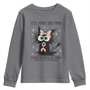 Funny Black Cat Endometrial Cancer Awareness Youth Sweatshirt Its Fine Im Fine Everything Is Fine TS12 Charcoal Print Your Wear