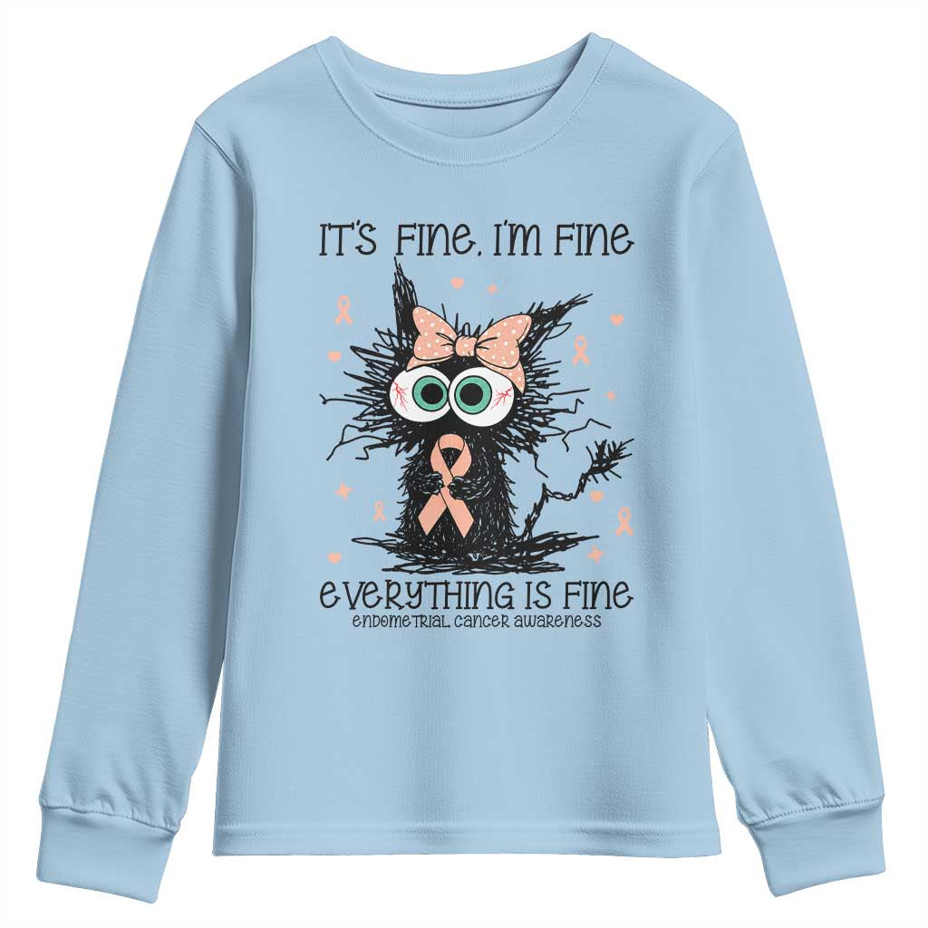 Funny Black Cat Endometrial Cancer Awareness Youth Sweatshirt Its Fine Im Fine Everything Is Fine TS12 Light Blue Print Your Wear