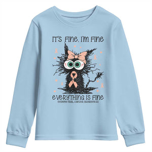 Funny Black Cat Endometrial Cancer Awareness Youth Sweatshirt Its Fine Im Fine Everything Is Fine TS12 Light Blue Print Your Wear