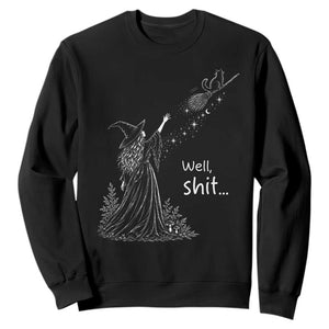 Funny Well Shit Witch Halloween Sweatshirt Cat Stole My Broom Flying
