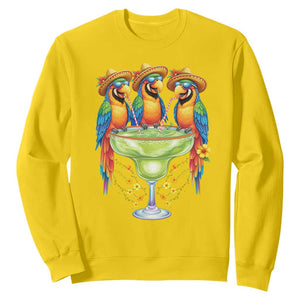Cinco De Mayo Summer Party Sweatshirt Funny Parrots Drinking Margaritas TS12 Daisy Print Your Wear