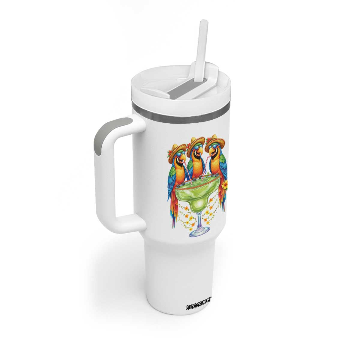 Cinco De Mayo Summer Party Tumbler With Handle Funny Parrots Drinking Margaritas TS12 Print Your Wear