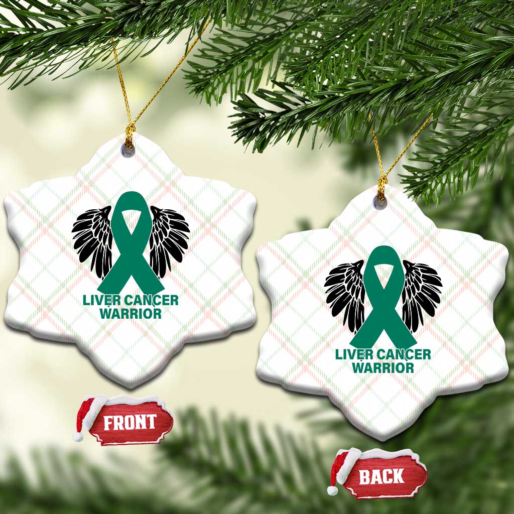 Liver Cancer Angel Warrior Wings Ceramic Ornament Green Ribbon Awareness Support Gift TS12 Print Your Wear