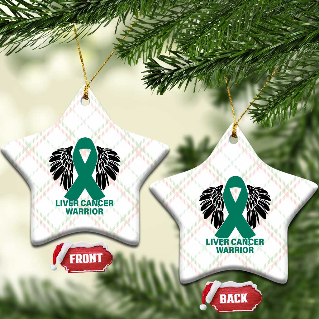 Liver Cancer Angel Warrior Wings Ceramic Ornament Green Ribbon Awareness Support Gift TS12 Print Your Wear