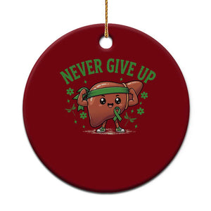 Liver Cancer Awareness Transplant Support Ceramic Ornament Never Give Up Nurse Gift TS12 1pc Red Print Your Wear
