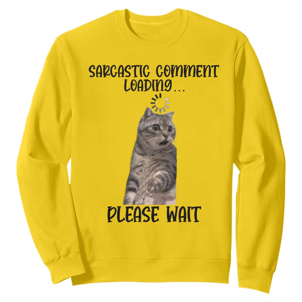 Funny Cat Meme Sarcastic Sweatshirt Sarcastic Comment Loading TS12 Daisy Print Your Wear