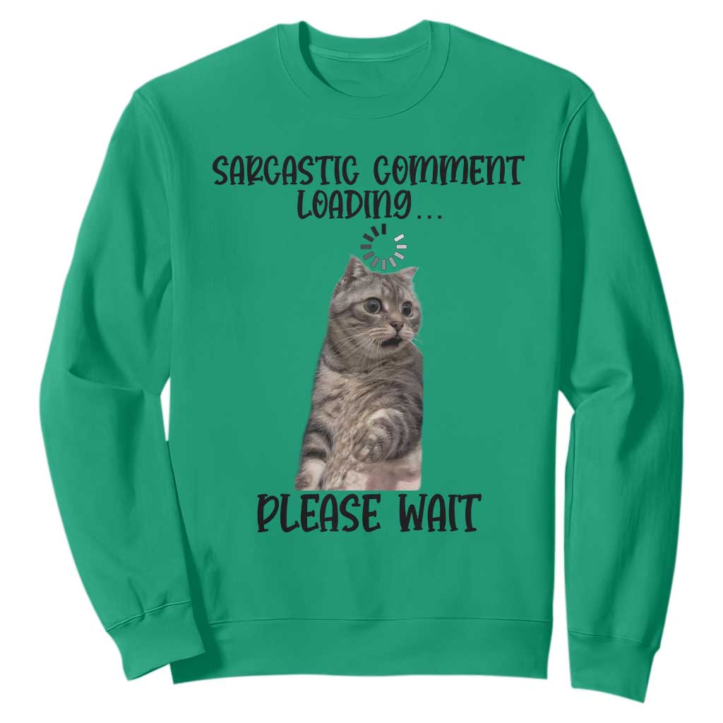Funny Cat Meme Sarcastic Sweatshirt Sarcastic Comment Loading TS12 Irish Green Print Your Wear