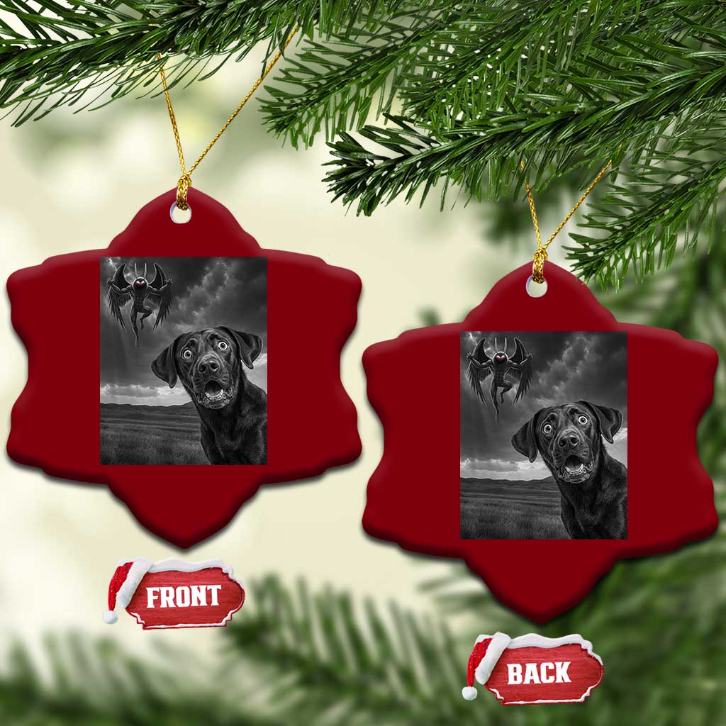 Funny Labrador Selfie With Mothman Ceramic Ornament Cryptid Gift TS12 Print Your Wear