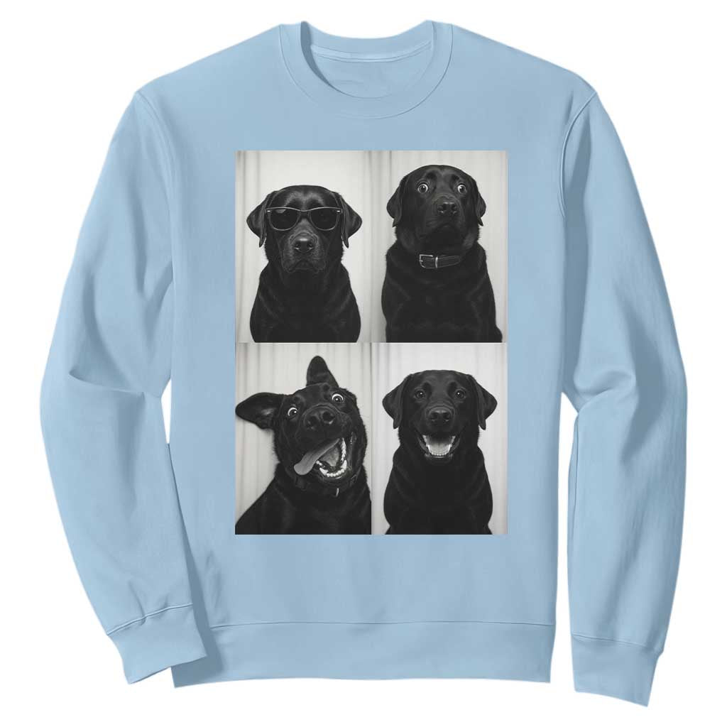 Funny Black Lab Sweatshirt Photobooth Selfie Dog Mom Gift TS12 Light Blue Print Your Wear