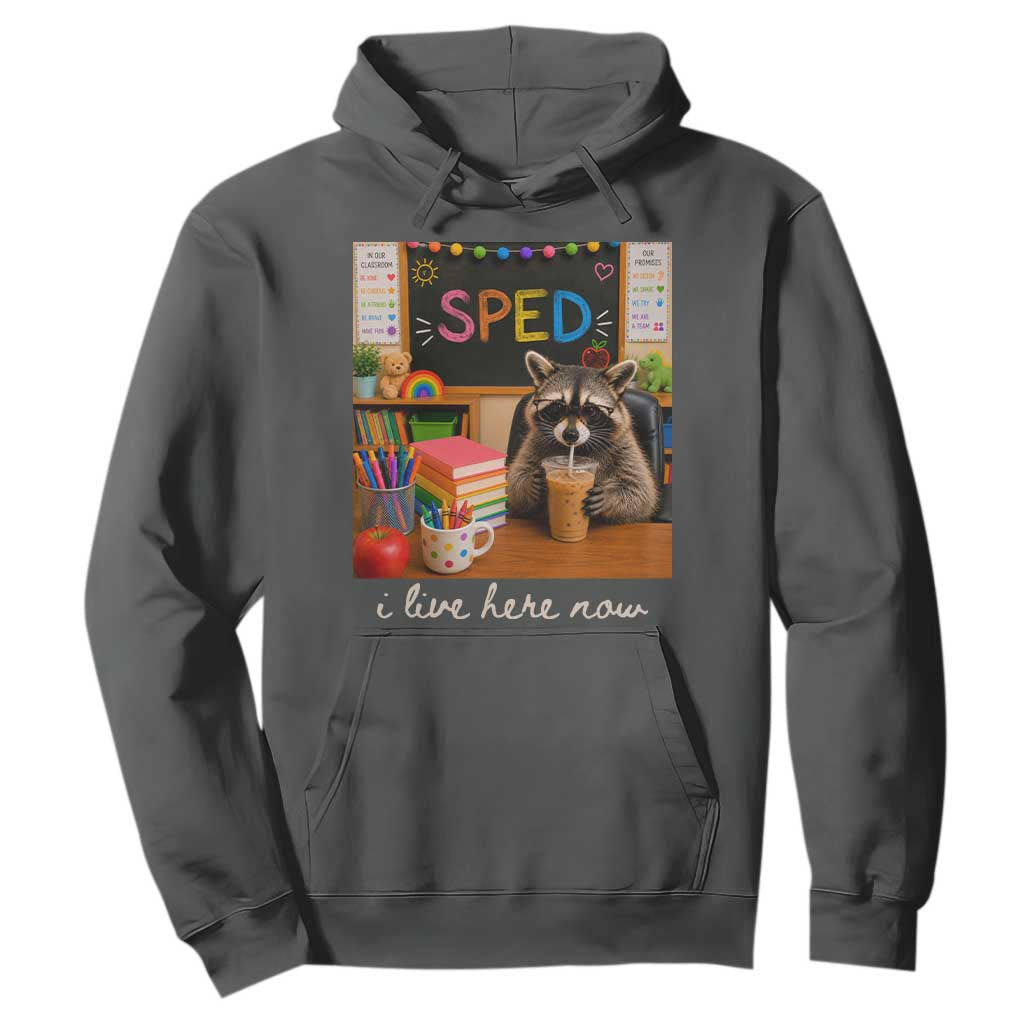 Funny SPED Raccoon Teacher Hoodie I Live Here Now TS12 Dark Heather Print Your Wear