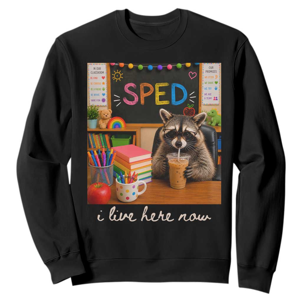 Funny SPED Raccoon Teacher Sweatshirt I Live Here Now TS12 Black Print Your Wear