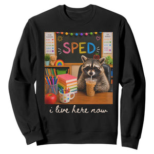 Funny SPED Raccoon Teacher Sweatshirt I Live Here Now TS12 Black Print Your Wear