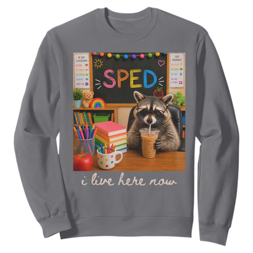 Funny SPED Raccoon Teacher Sweatshirt I Live Here Now TS12 Charcoal Print Your Wear